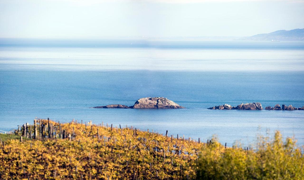 Aterian Euromar I Apartment Zarautz Luaran gambar